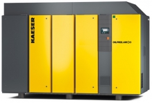 Винтовой компрессор Kaeser DSG 290-2 10 RD SFC