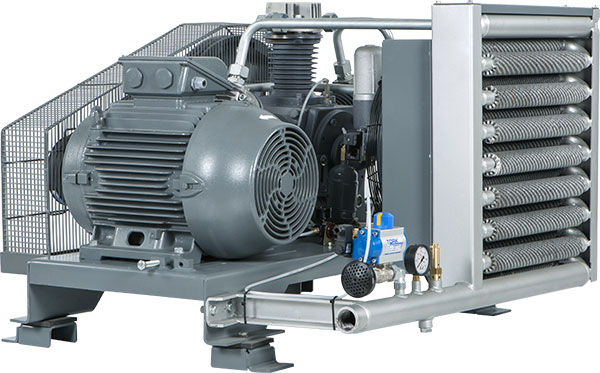 Поршневой компрессор DALGAKIRAN DBK 30-10