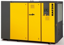 Винтовой компрессор Kaeser DSD 202 10 T